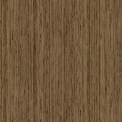 Canyon Oak