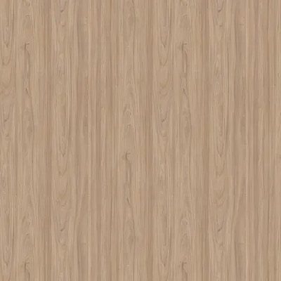 Natural Elm